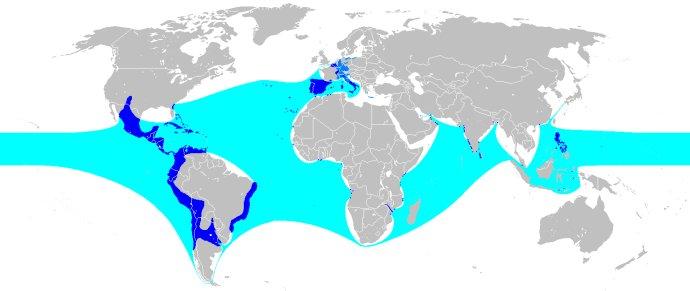 6% 第12名:大日本帝国 极盛时期领土面积:980万平方公里(1942年).