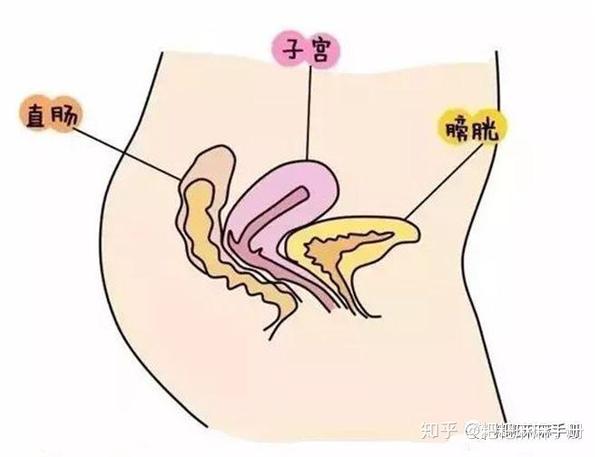 怀孕后妈妈的身体发生的变化,看完感动哭了