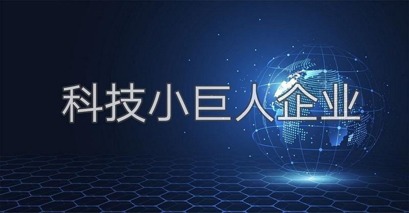 牛羚瞪羚独角兽科技小巨人企业都是什么意思一文带你了解中国科技企业