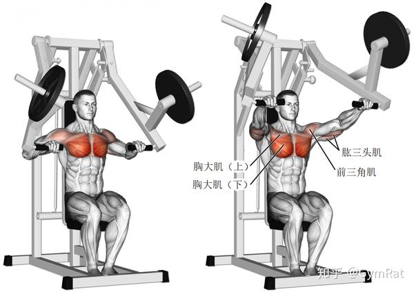 上斜绳索飞鸟   incline cable fly