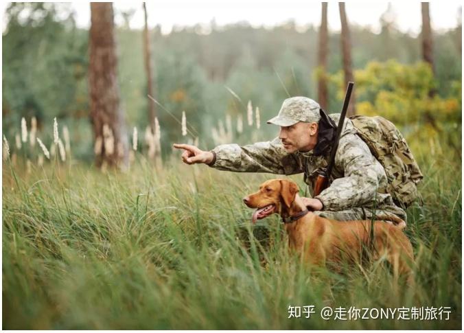 在加拿大的秋猎中做一次荒野猎人