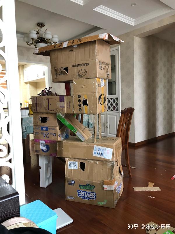 家里有小猫,想用废旧纸箱做些什么可以做什么?
