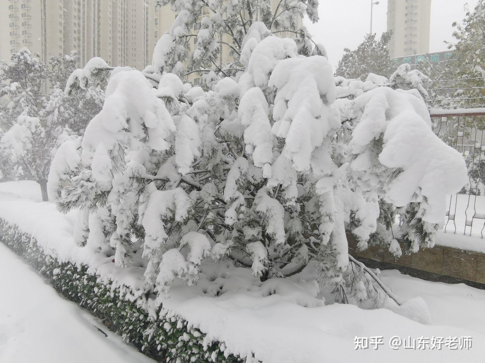 济南2021年的第一场大雪有点突然