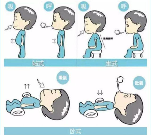 1,凯格尔训练 备注:人各有异,情况千差万别,不是所有人,都能通过训练
