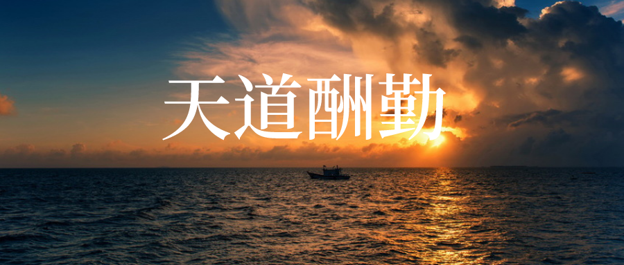 天道酬勤新上海滩向天再借五百年