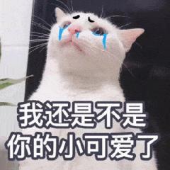 看了让人心软的认错表情包:你再不理我,你将失去我这个小可爱