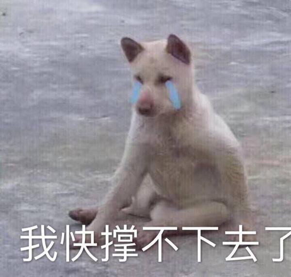 挺乱的,大部分是假笑男孩那个系列的,他叫盖宝,也有一些别的(多图
