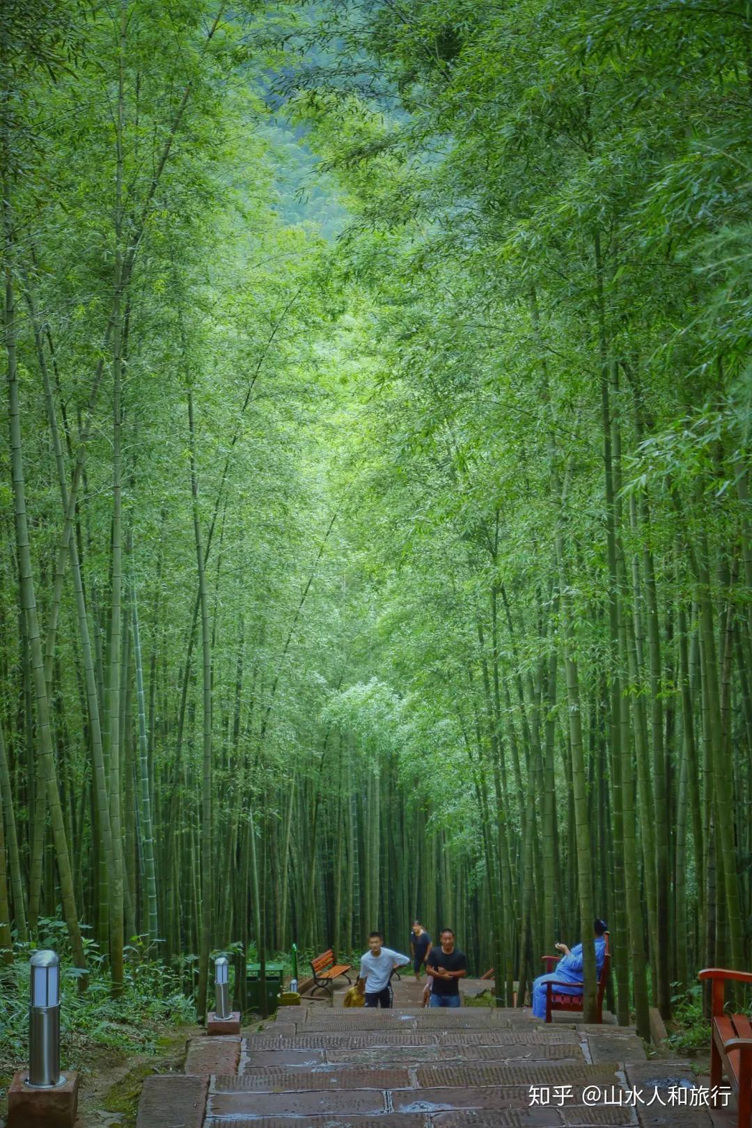 遵义·赤水竹海国家森林公园