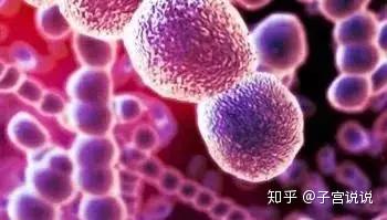 被忽视的人体细菌!阴道细菌感染应该怎么办?
