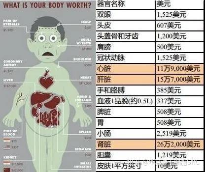 美国medical transcription网站公布了一份美国黑市的人体器官交易