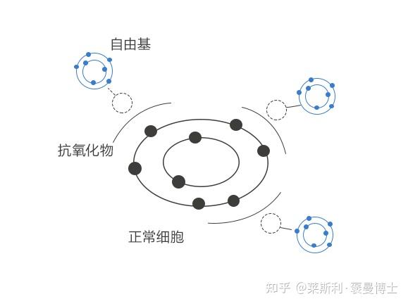 什么是自由基?它们又是如何影响你的皮肤的?