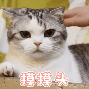 超甜的撒娇撩人表情包,情侣专用哦,赶快发给对象,甜到