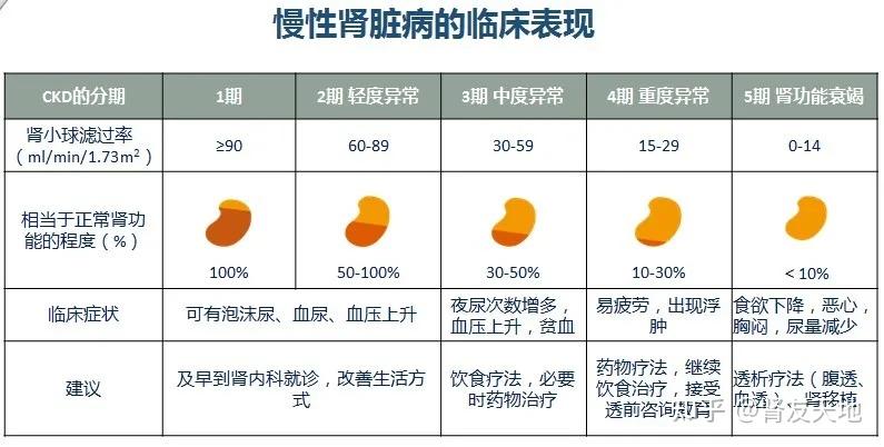 世界肾脏日积极面对肾病共享精彩人生