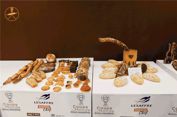 中国台北代表队 教练: chung yu hsieh 选手: 张世彬 杨世湖 王宥晟