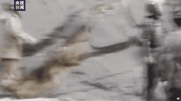 800_447gif 动态图 动图