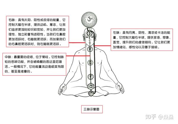 安利一个适合孕妇的简单的瑜伽体式