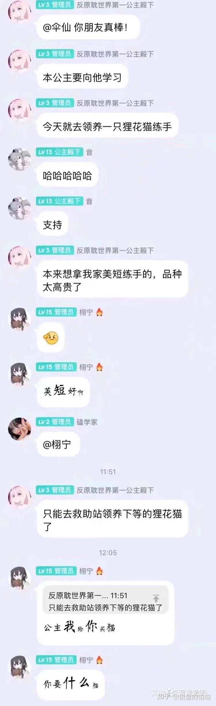 反原耽虐猫事件
