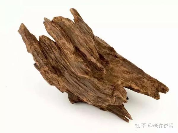 野生天然沉香以结香原因的不同可分为四类