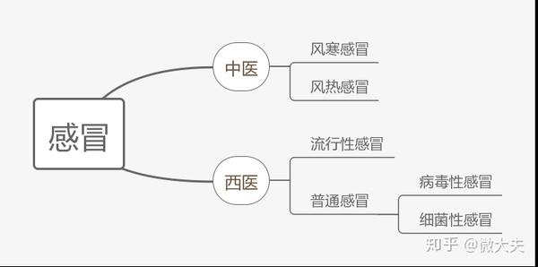 先上结果,思维导图分类只写出了风寒,风热,流感,感冒,病毒性感冒,细菌