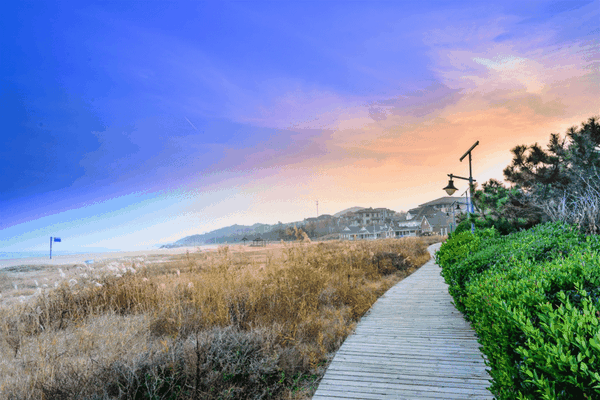 在绿草春花间感受生机的力量看海,逐浪嬉戏感受春天的叩响…… 01