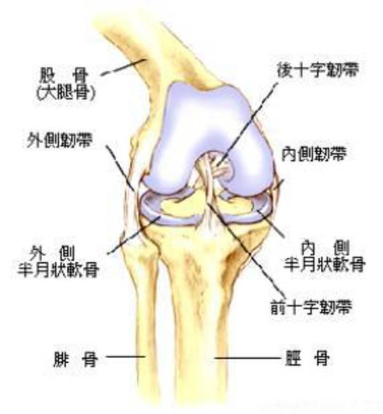 半月板撕裂是不是三级损伤?