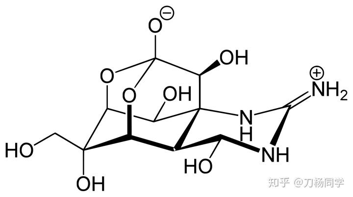 河豚毒素结构式(引自维基百科)