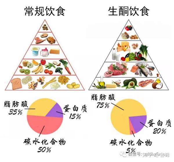 蛋白质测定的原理是什么意思_蛋白质凝胶是什么(3)