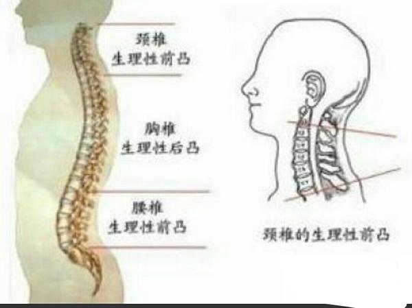 瑜伽私教-我的腰部疼痛原因