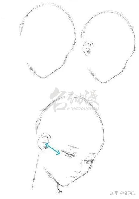 素描石膏人头像是如何划分正侧斜侧面的