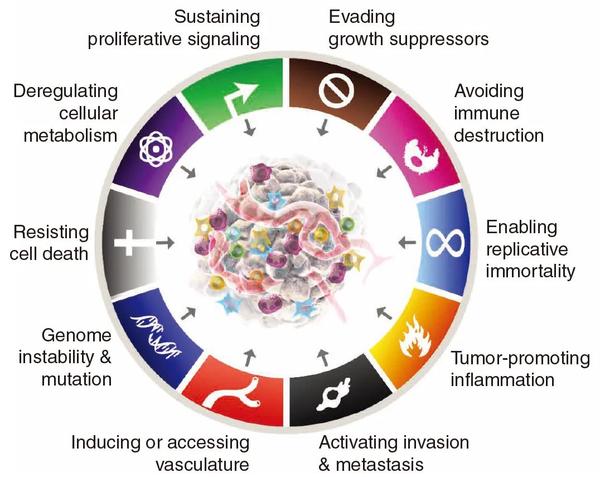 Hallmarks Of Cancer