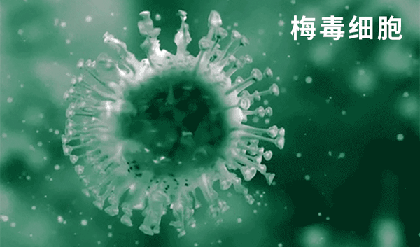 主要检测艾滋病的抗原抗体或者艾滋病的病毒载量,得出是否有感染艾滋