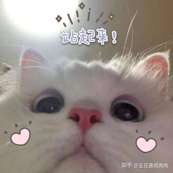 三个跟男盆友开车车的可爱表情包