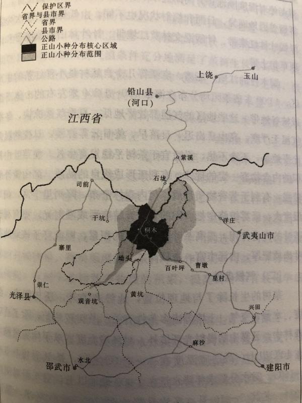 根据《武夷茶经》记载,产于武夷山星村镇桐木村高海拔环境下所产的