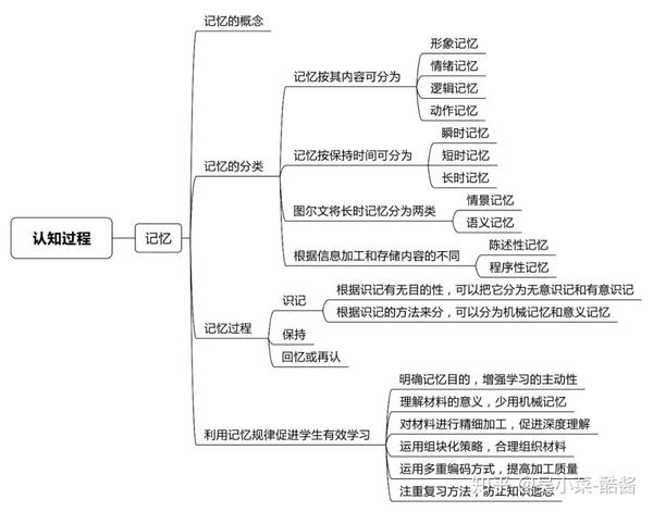 认知过程(三)