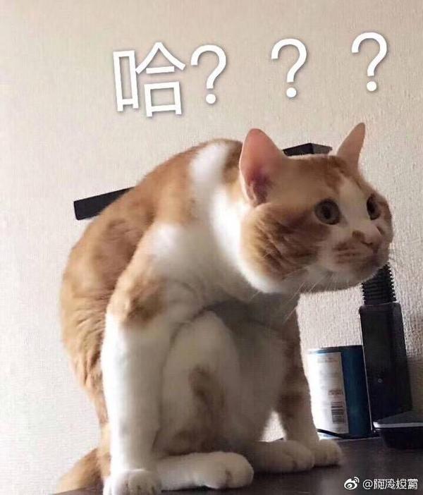有哪些丑萌表情包?