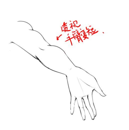 第八篇:胳膊与手丨阿汤哥美术教程