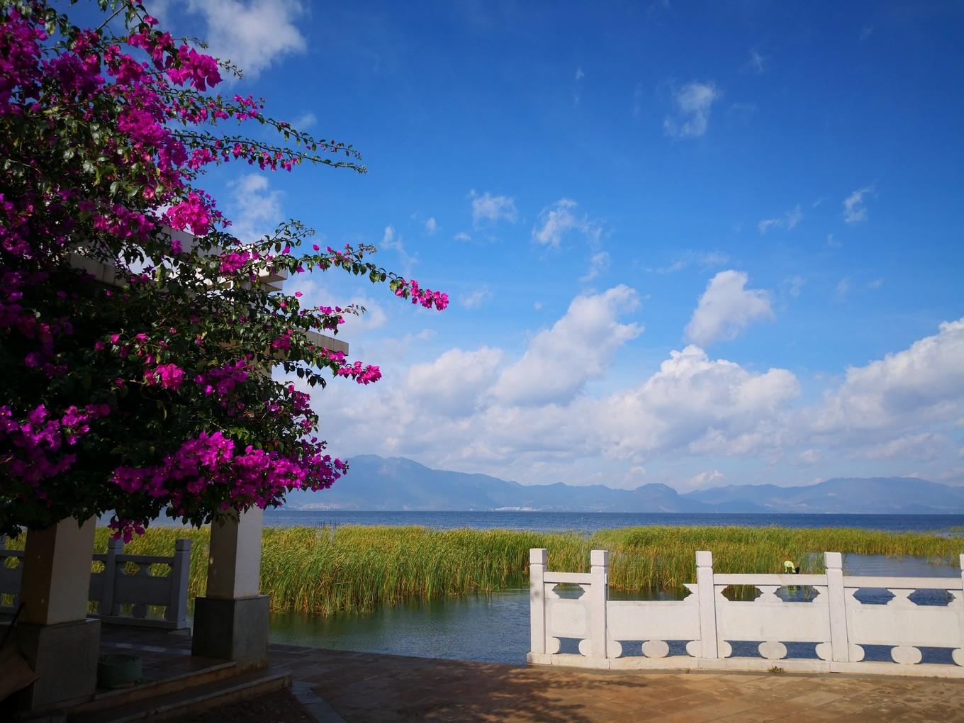 云南必须去的景点排名,云南旅游必去景点推荐,金花轻松游