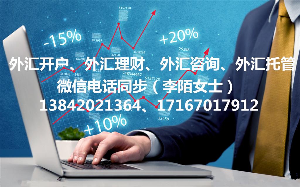 描述外汇技术分析方法_分析某个市场前景要分析什么_外汇市场技术分析 下载