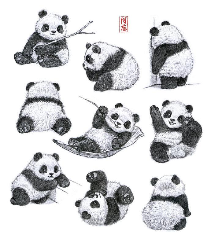 美术蛙素材大熊猫怎么画