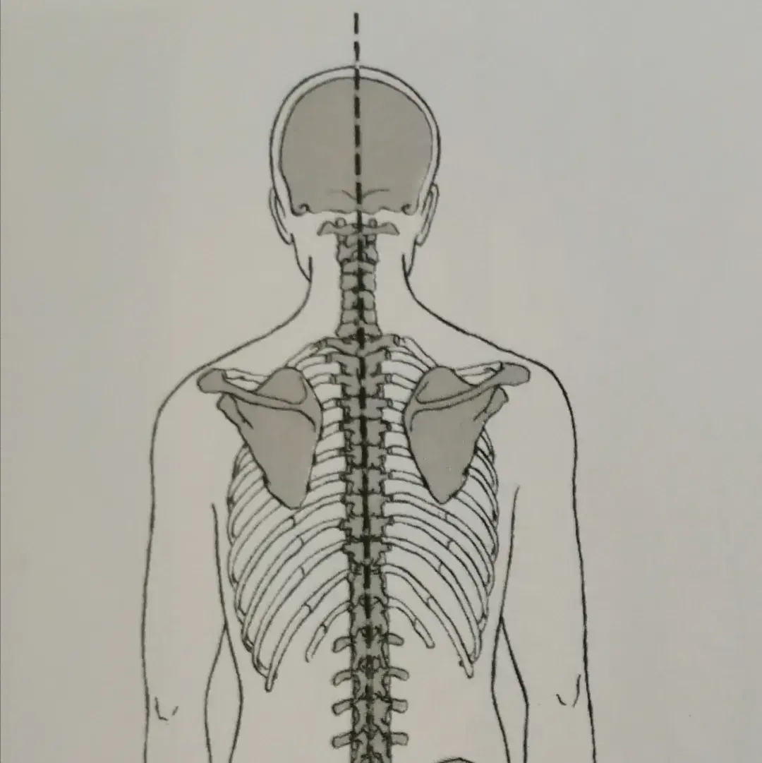 溜肩翼状肩颈肩痛肩胛骨下回旋才是解决问题的关键
