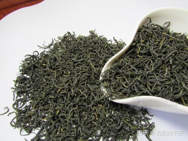 茶叶基础知识一绿茶篇