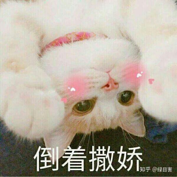 有什么适用于和老公/男票撒娇的可爱表情包?