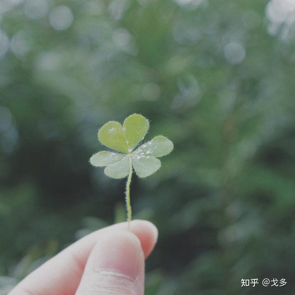 2020结束2021心情图片,2021最美风景图片 2021就地过年的心情文案 过年不能回家的心情说说