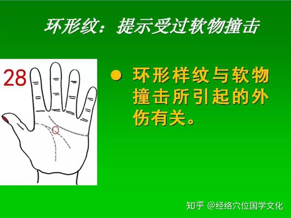《七天学会手诊》八卦掌,疾病在手掌的对应分区