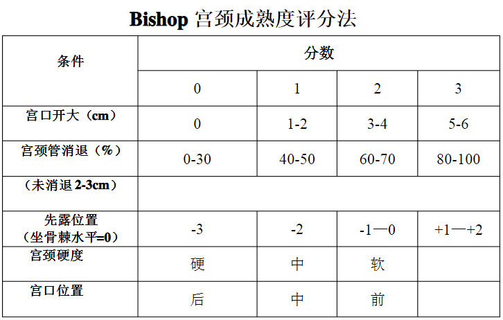 能否顺产要看宫颈成熟度