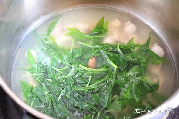 苦斋菜是一种什么野菜苦菜小肠汤怎么做好吃