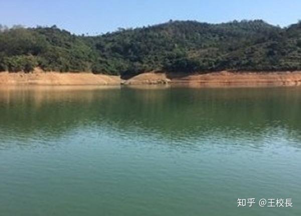 黄江 水流石水库  之前非常出名的鱼获多的地方,现在鱼被清理的差不