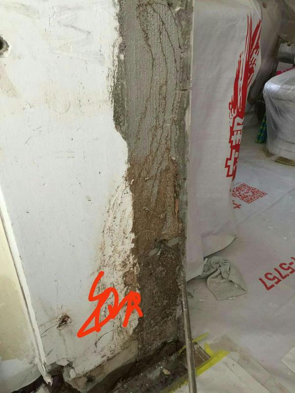 请问:一套一楼的房子里有白蚁,如果拆除装修后白蚁防治公司防治后还会