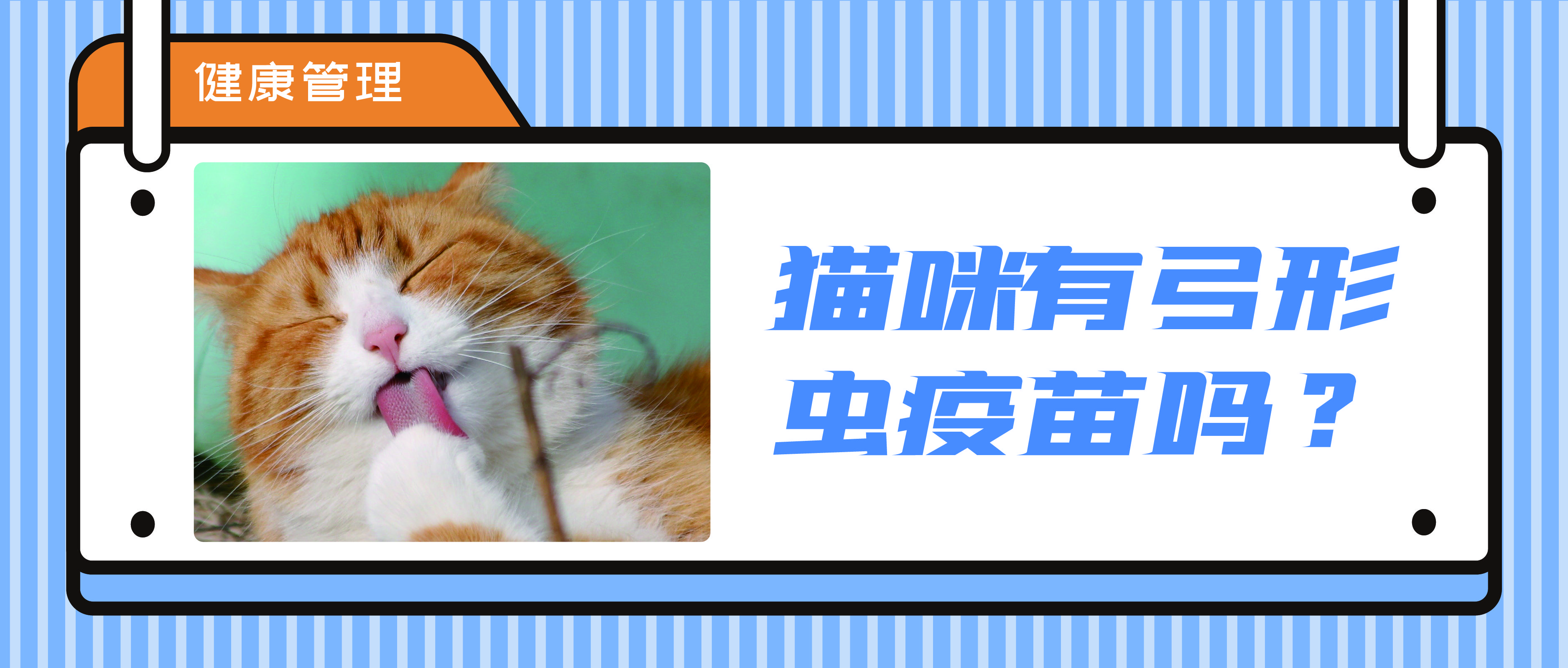 猫咪有弓形虫疫苗吗