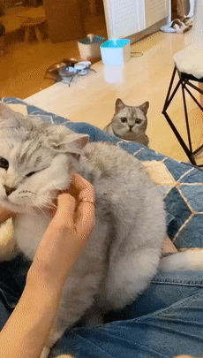 网友:别哭了,我已经开始自责了